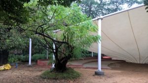 Collapsed theatre roof, photo 2